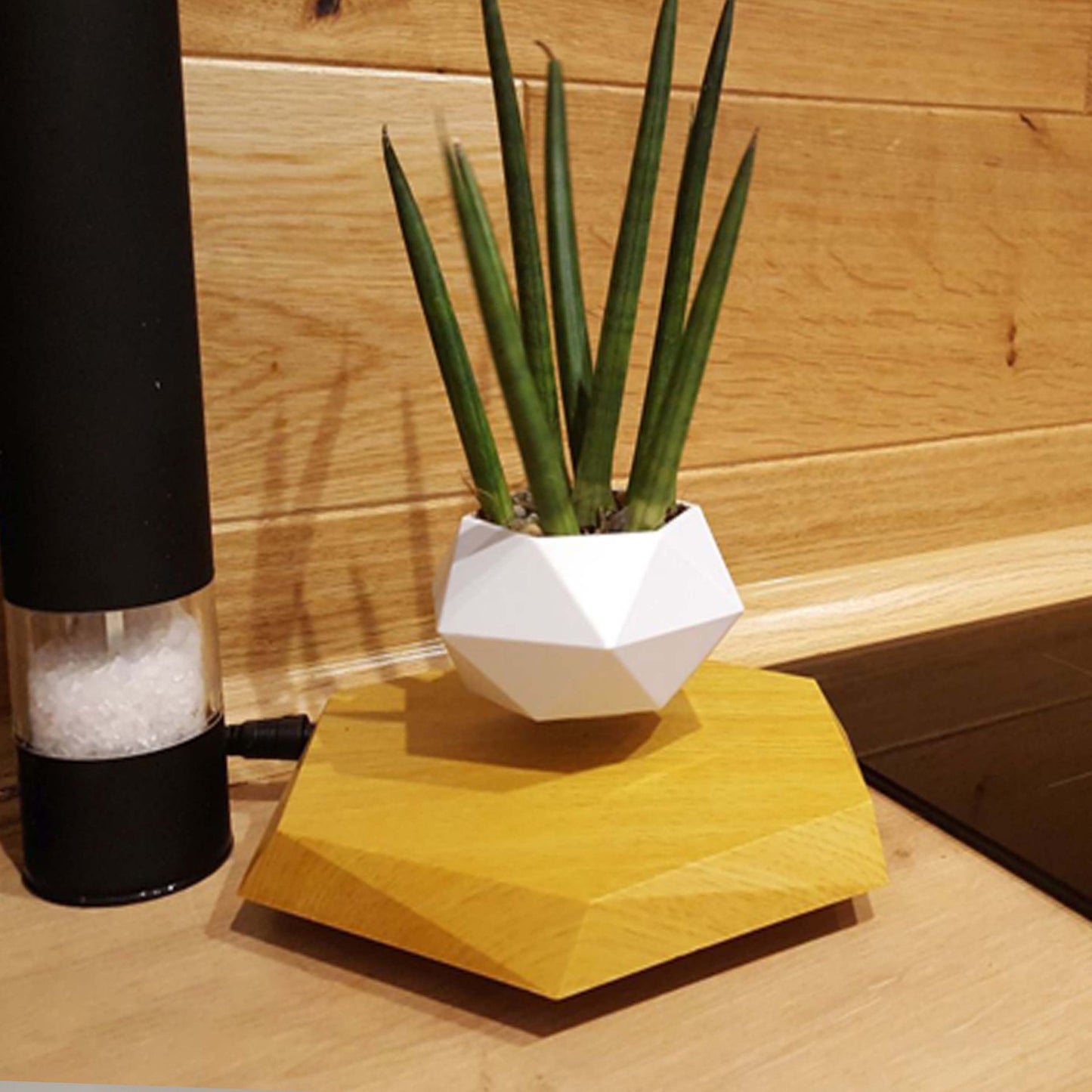 Magnetic Levitating Flower Pot - 360 Degrees Rotation, Home & Office Docor