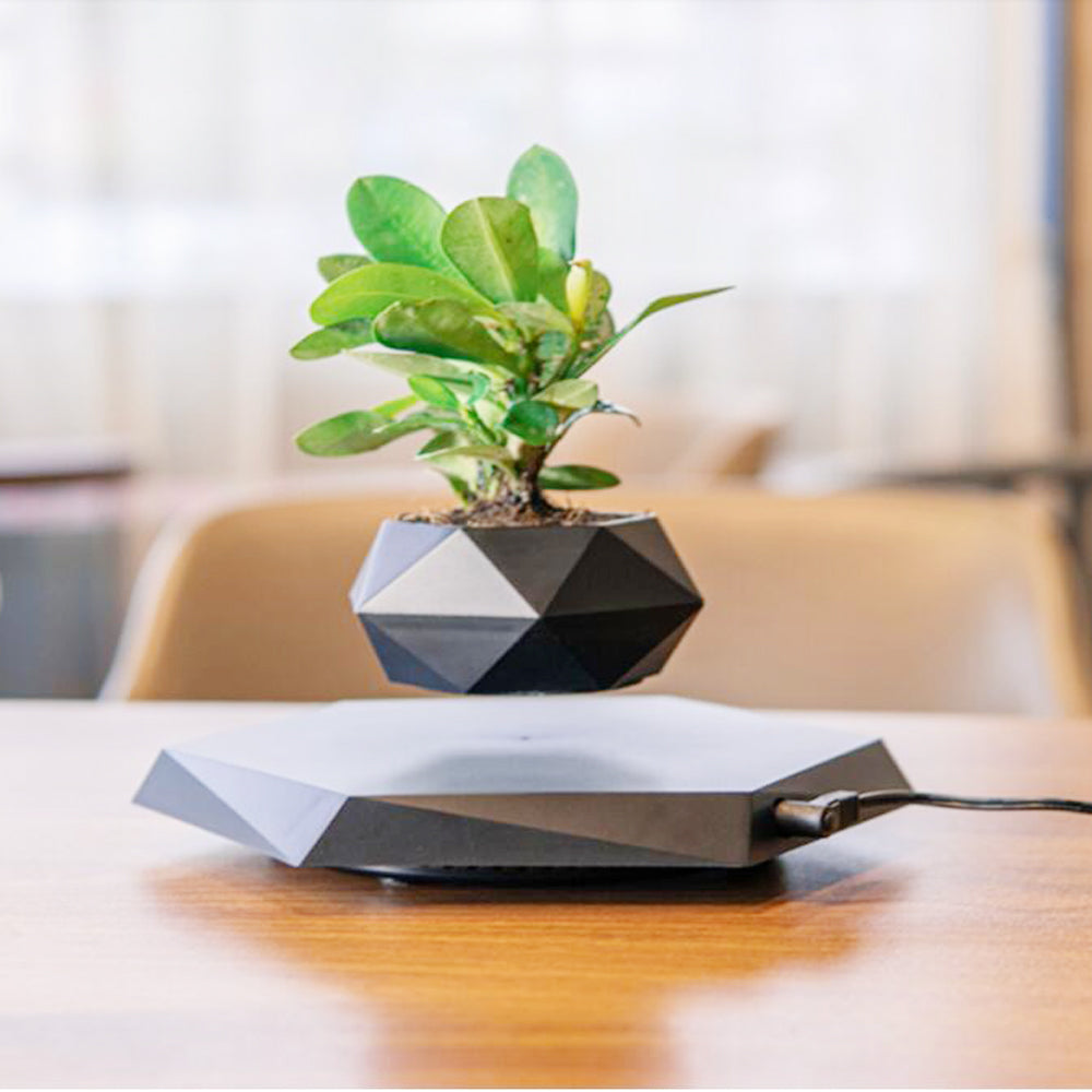 Magnetic Levitating Flower Pot - 360 Degrees Rotation, Home & Office Docor